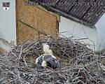 Capi_Dubne_20260605_141004.jpg