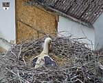 Capi_Dubne_20260605_143004.jpg