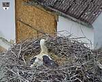 Capi_Dubne_20260605_143504.jpg