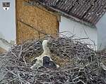 Capi_Dubne_20260605_144004.jpg