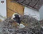 Capi_Dubne_20260605_145503.jpg