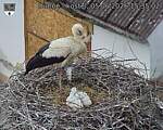 Capi_Dubne_20260605_153502.jpg