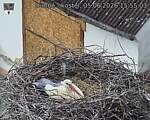 Capi_Dubne_20260605_155503.jpg