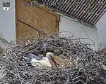 Capi_Dubne_20260605_161504.jpg