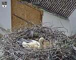 Capi_Dubne_20260605_162003.jpg
