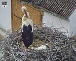Capi_Dubne_20260605_162505.jpg
