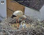 Capi_Dubne_20260605_170502.jpg