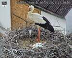 Capi_Dubne_20260605_172005.jpg