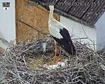 Capi_Dubne_20260605_172503.jpg