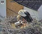 Capi_Dubne_20260605_174003.jpg