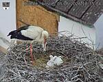 Capi_Dubne_20260605_183504.jpg