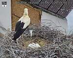 Capi_Dubne_20260605_194003.jpg