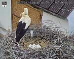 Capi_Dubne_20260605_194503.jpg