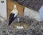 Capi_Dubne_20260605_195004.jpg