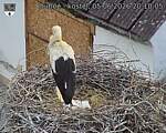 Capi_Dubne_20260605_201005.jpg