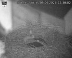 Capi_Dubne_20260605_223002.jpg