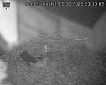 Capi_Dubne_20260605_233002.jpg