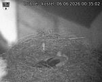 Capi_Dubne_20260606_003502.jpg