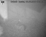 Capi_Dubne_20260606_021503.jpg