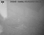 Capi_Dubne_20260606_031002.jpg