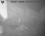 Capi_Dubne_20260606_035002.jpg