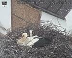 Capi_Dubne_20260606_051502.jpg