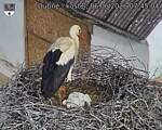 Capi_Dubne_20260606_074504.jpg