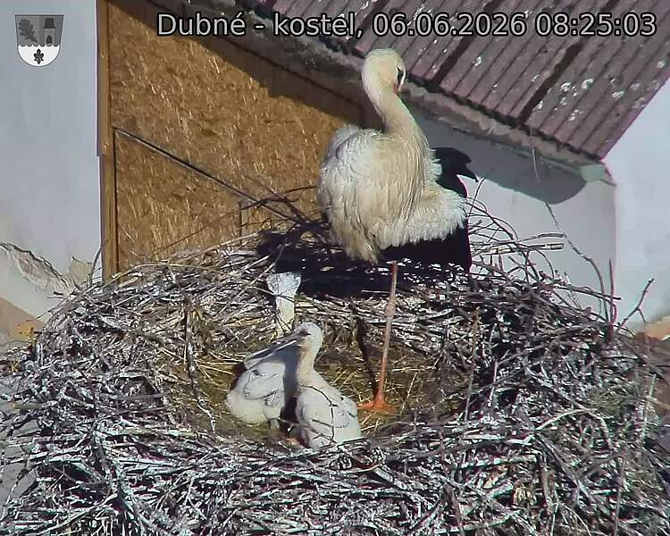 preload