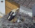 Capi_Dubne_20260606_122502.jpg