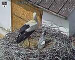 Capi_Dubne_20260606_125003.jpg