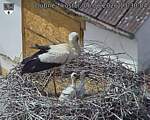 Capi_Dubne_20260606_133004.jpg