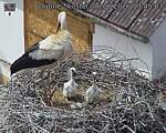 Capi_Dubne_20260606_134503.jpg