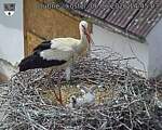 Capi_Dubne_20260606_144503.jpg