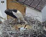Capi_Dubne_20260606_151504.jpg