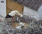Capi_Dubne_20260606_162004.jpg