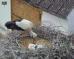 Capi_Dubne_20260606_162502.jpg