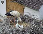 Capi_Dubne_20260606_163004.jpg