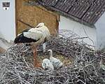 Capi_Dubne_20260606_163503.jpg