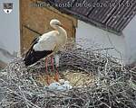 Capi_Dubne_20260606_171502.jpg