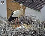 Capi_Dubne_20260606_172003.jpg