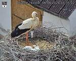 Capi_Dubne_20260606_173502.jpg