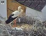 Capi_Dubne_20260606_174004.jpg