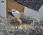 Capi_Dubne_20260606_175503.jpg