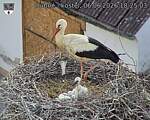 Capi_Dubne_20260606_182503.jpg