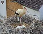Capi_Dubne_20260606_183004.jpg