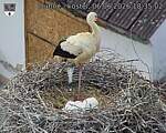 Capi_Dubne_20260606_183503.jpg