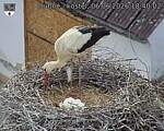 Capi_Dubne_20260606_184002.jpg