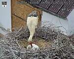 Capi_Dubne_20260606_184503.jpg