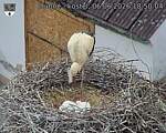Capi_Dubne_20260606_185004.jpg