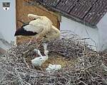 Capi_Dubne_20260606_185503.jpg